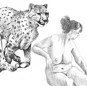 lifedrawing button art.png