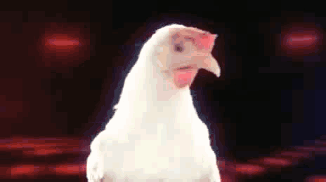 art direction.gif