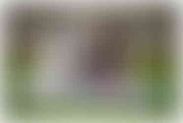 red rock park leesburg family session