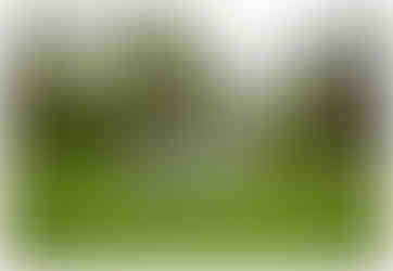 red rock park leesburg family session