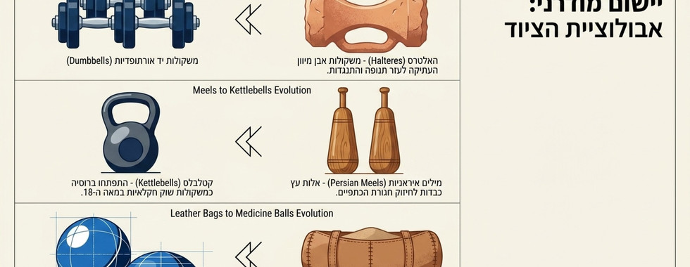 האבולוציה של התרבות הגופנית