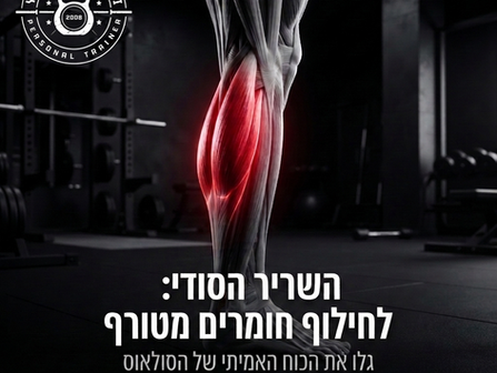השריר הסודי לחילוף חומרים מטורף