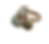 photoroom-20241014_202302
