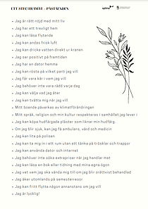 mini bilaga 2 ETT STEG FRAMÅT.PNG