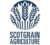 scotgrain.jpg