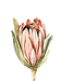 _edited.png