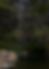 IMG_2210.png