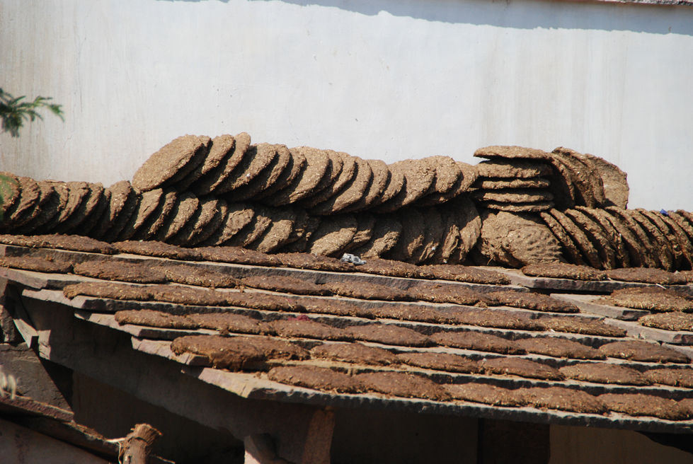 manure on the roof