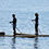 Thumbnail: Walk on the water with sup