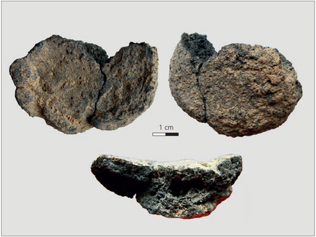 Niederkaina, an Overview of the Burials with Food Remains made of or containing Wheat