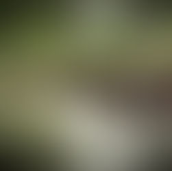 El Tapón del Darién: Un viaje de esperanza y desesperación