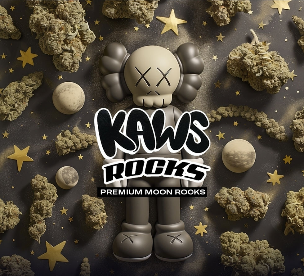 KAWS Moonrock