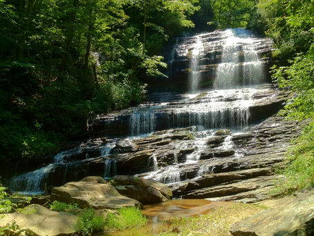Discover the Serenity of Pearson's Falls