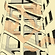 MACKA copie-1.png