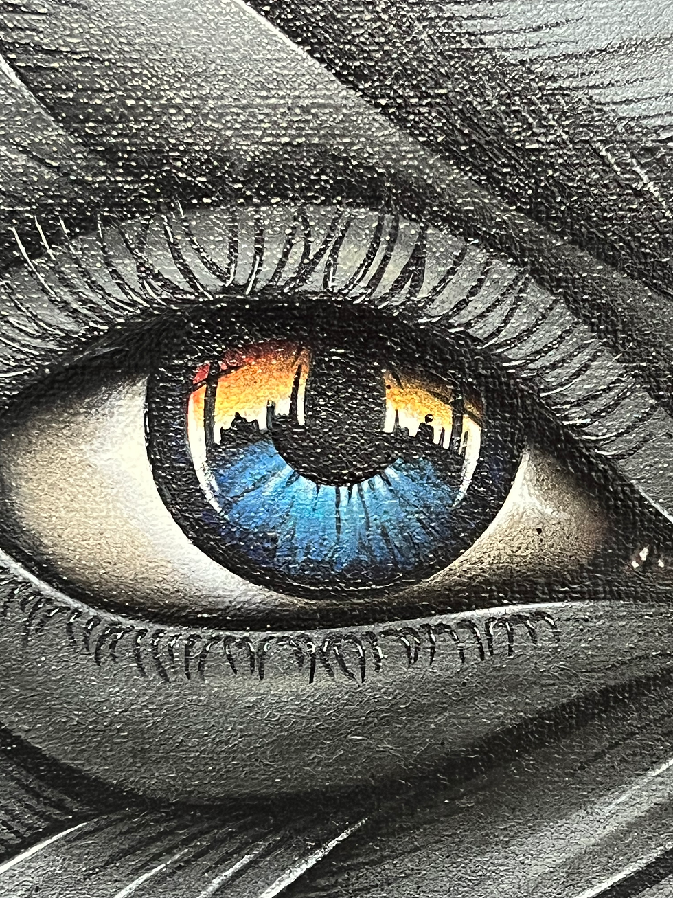 Thumbnail: Otto SCHADE - 'Unveiled Eyes, Ojos Desvelados' - DYPTIQUE LONDON REFLECTIONS 1&2