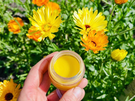 The Healing Power of Calendula for Radiant Skin Health