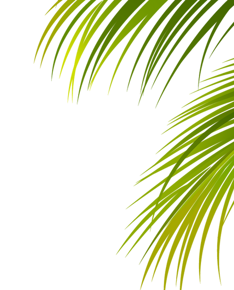 palm fronds