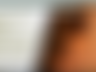 Welcome to the New Look North Eden Timber Website!