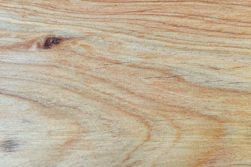Close-up of light brown cypress wood grain