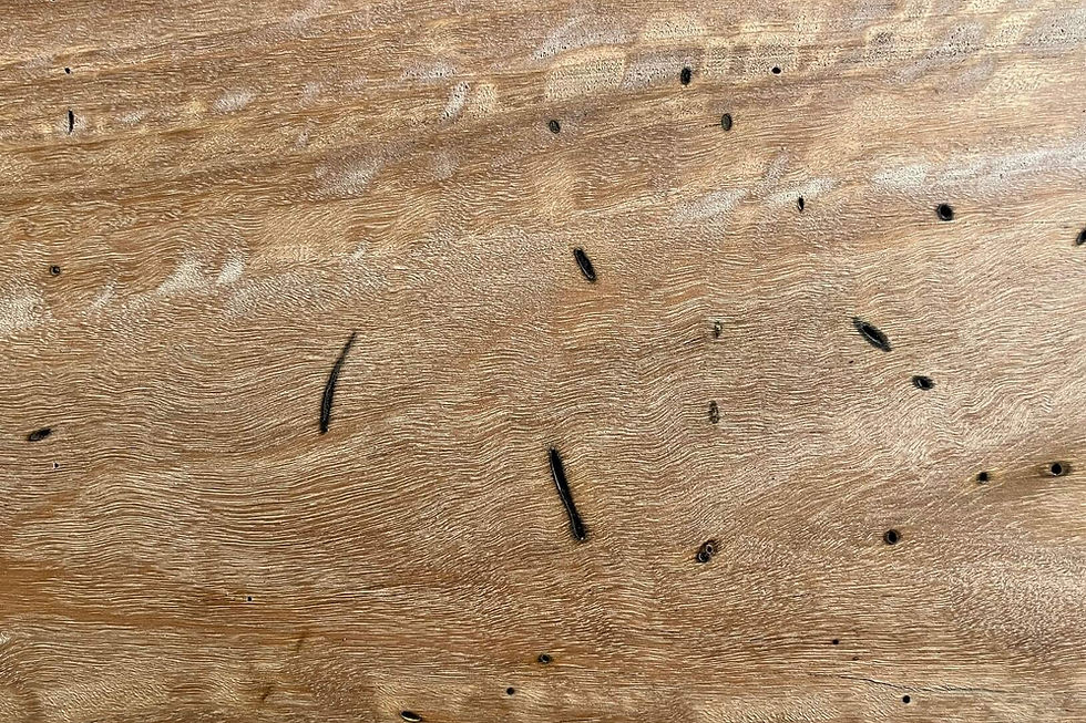 White Mahogany colour sample