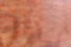 spotted gum colour sample