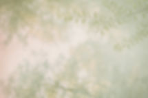 96F0591A-5EB4-49E6-9BEB-4FBA5E30BE82_edited.jpg