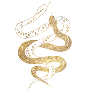 THE HEALING VOICE (7).png