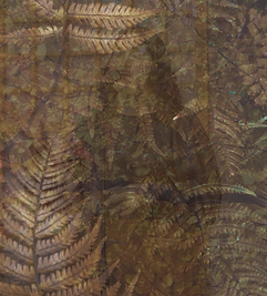 6.png