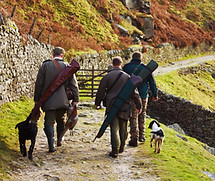 Men Hunting with Dogs