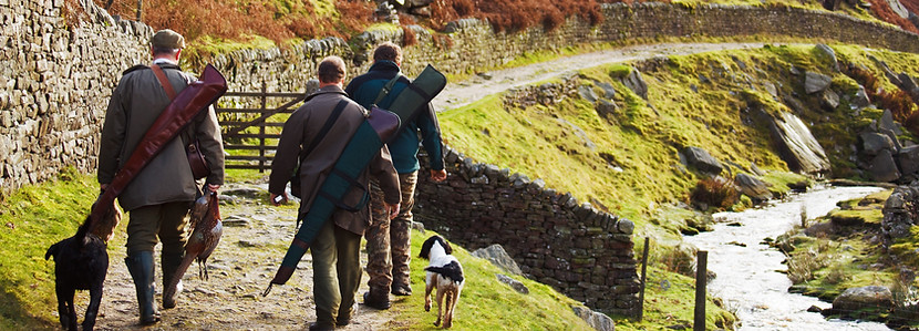 Men Hunting with Dogs