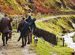Les hommes de chasse avec des chiens
