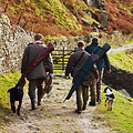 Men Hunting with Dogs