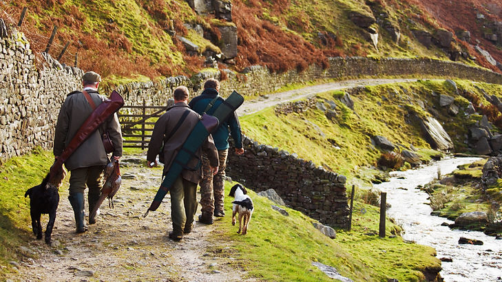 Caminhantes com cães