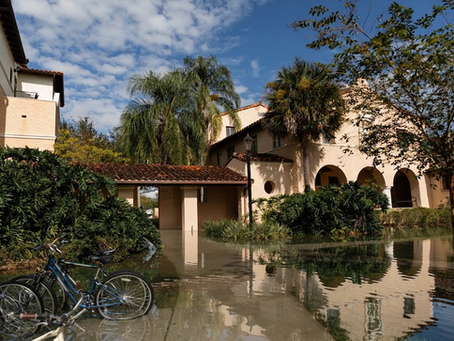 Miami Beach Homeowners: Get Up to $20,000 to Protect Your Property