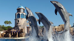 seaworld-sandiego2