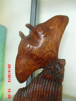 Sea World 2013 05 (73)