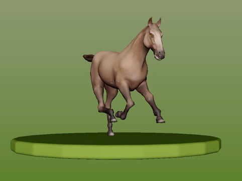 Unit Four & the Horse run