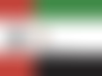 Women in the United Arab Emirates A Portrait of Progress