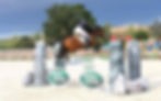 Equestrian arena irrigation