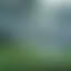 Autumn Lawn Sowing & Irrigation: Setting Your Lawn Up for Success
