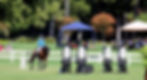 Sports Turf Irrigation