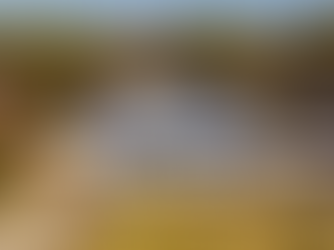 Just wrapped up a Pewter Grey GAF Timberline HDZ 50 year roof in Manorville. Clean install and a beautiful finished look for this home.