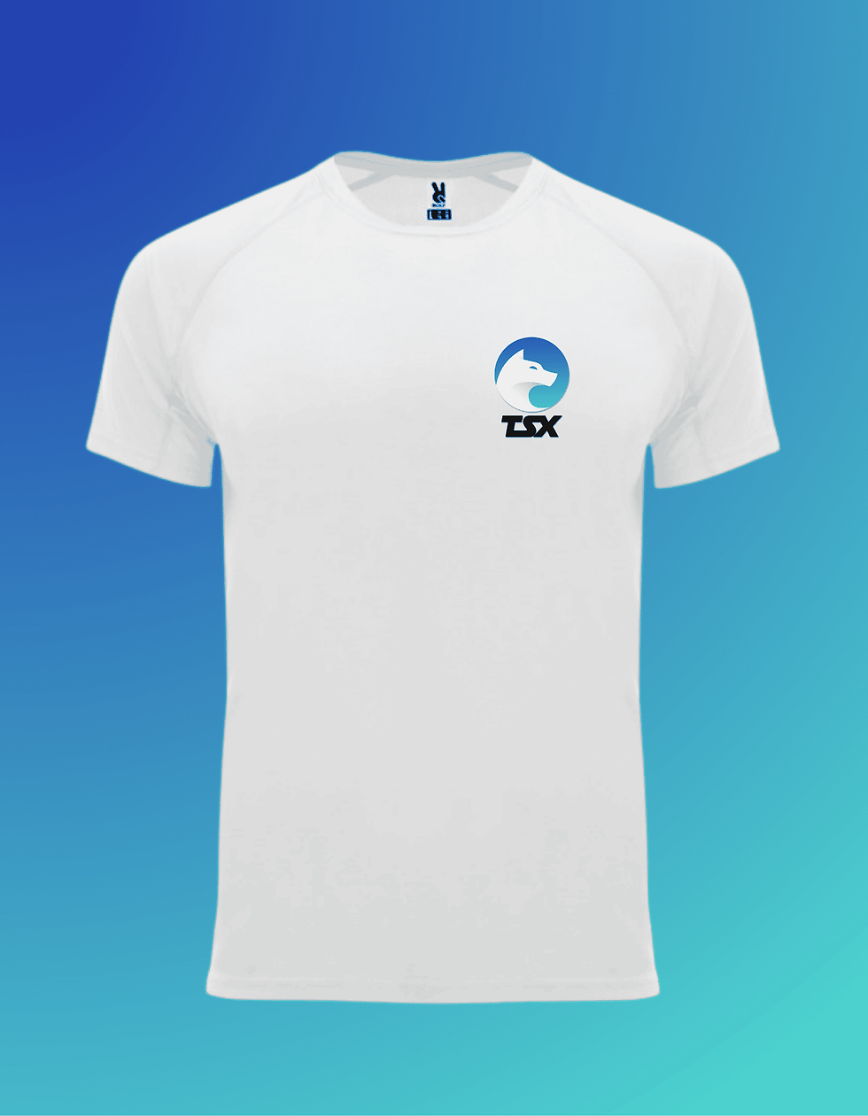 Miniature : T-shirt TSX uni