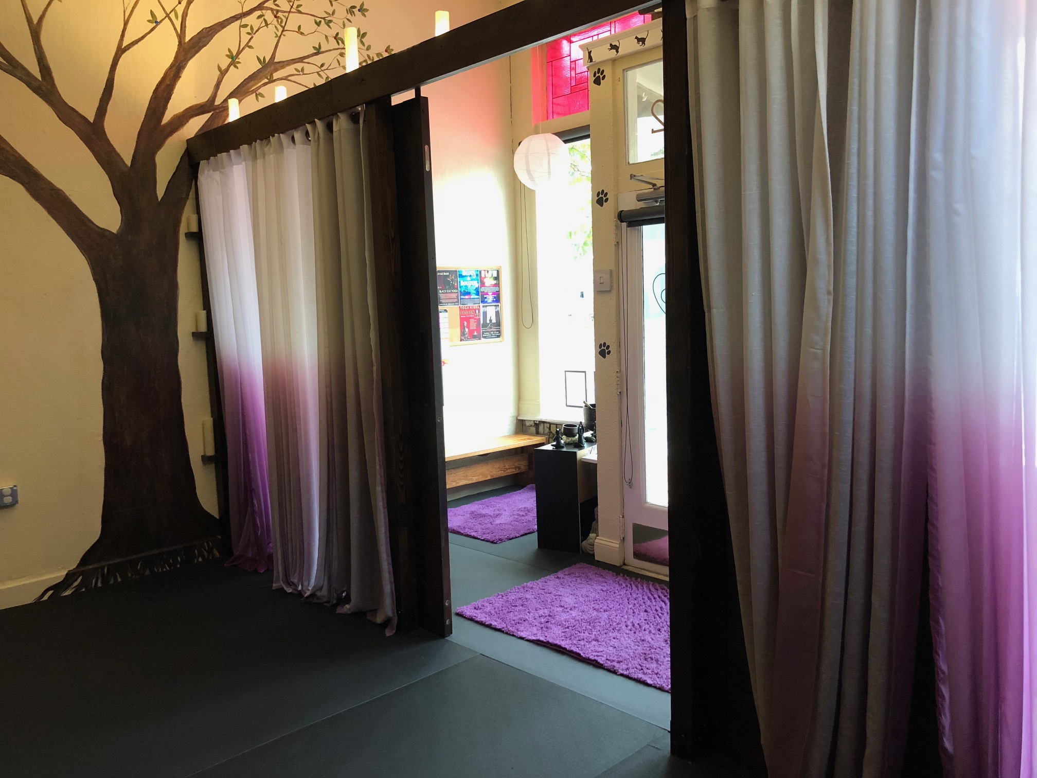 Black Cat Yoga Jacksonville, FL Yoga Studio