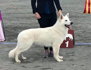 Zalto_2_BIR_Troms%C3%83%C2%B8_edited.jpg