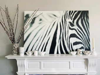 Zebra above mantelpiece.JPG