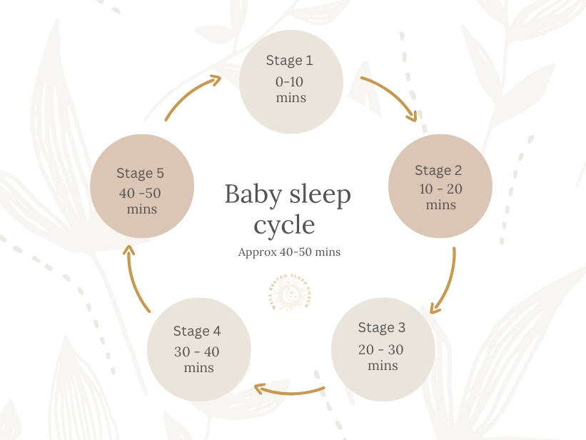 Baby Sleep Cycle baby-sleep-cycle