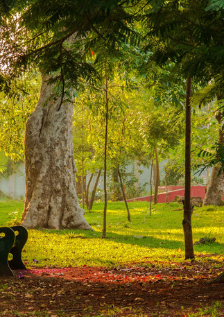 Bharathi Park
