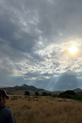 Powell II Property Sunrise