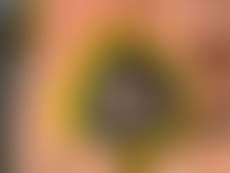 Period 9 - July 27th 2024